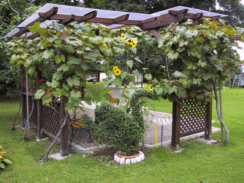Bild: IMG_0063.JPG