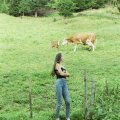 [zum vergroessern klicken]