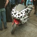 [zum vergroessern klicken]